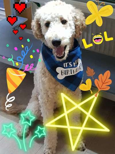 Photoshop und Co.-Beitrag-Bild