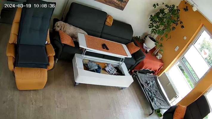 Freddys Kummerkasten-Beitrag-Bild