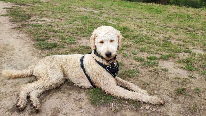 Ist das ein...?-Beitrag-Bild