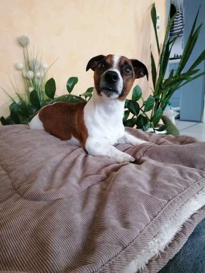 Fotochallange Nr. 57     PORTRÄT.   Beendet!!!!!!!!-Beitrag-Bild