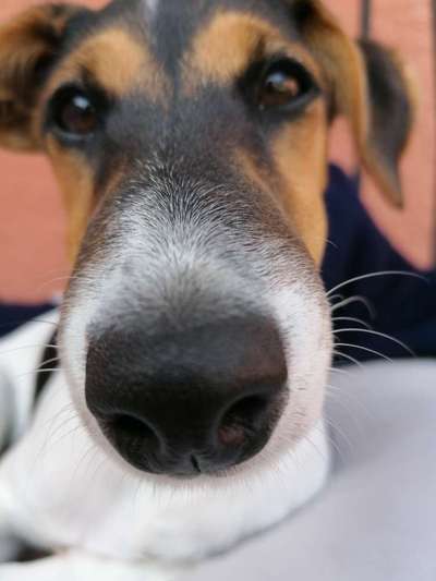 Fotochallange Nr. 57     PORTRÄT.   Beendet!!!!!!!!-Beitrag-Bild