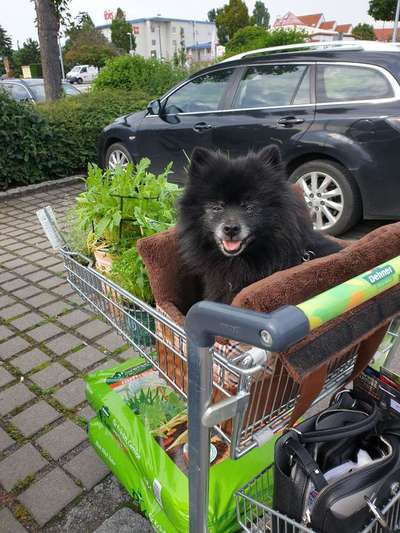 Lieblingsbild-Beitrag-Bild