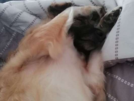 Lieblings Schnappschuss?-Beitrag-Bild