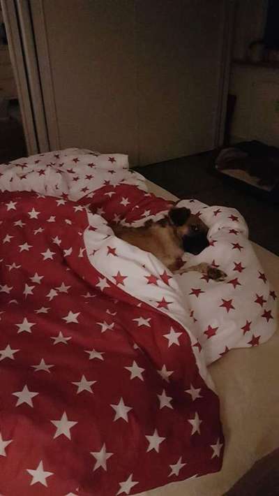 Im Bett schlafen-Beitrag-Bild