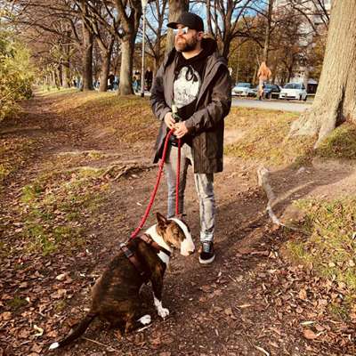 Hundetreffen-Gassi mit Edna