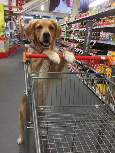 Zeigt her...-Beitrag-Bild