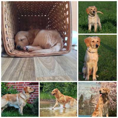 Sie werden so schnell groß!-Beitrag-Bild