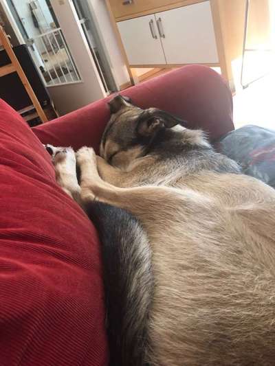 Die unbequemsten und lustigsten Schlafpositionen-Beitrag-Bild