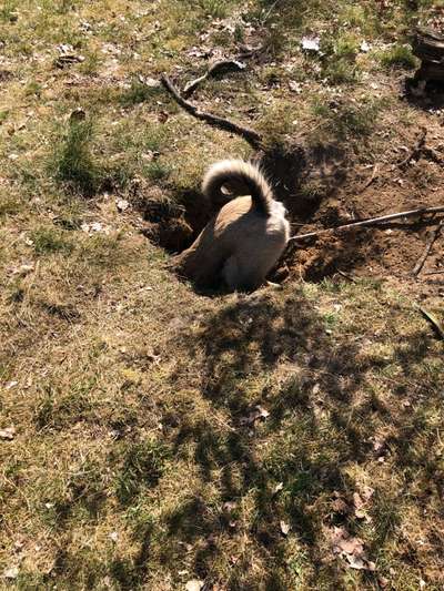 Challenge 21 - wo bin ich : )-Beitrag-Bild