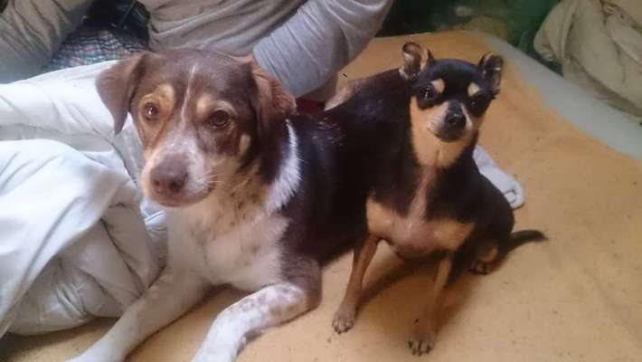 Leute aus Oberbayern?-Beitrag-Bild