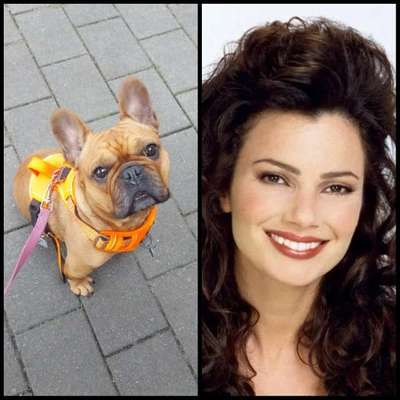 Wie heißt dein Hund?-Beitrag-Bild