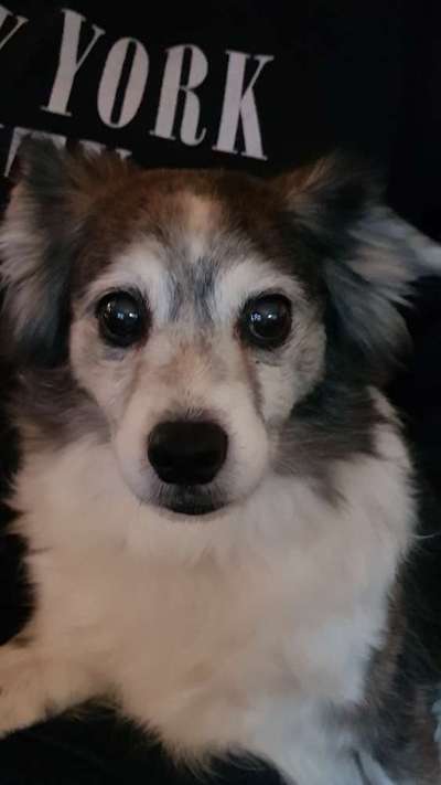 Fotochallange Nr. 57     PORTRÄT.   Beendet!!!!!!!!-Beitrag-Bild