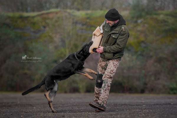 Zeigt mir eure Lieblingsfotos ♡♡-Beitrag-Bild