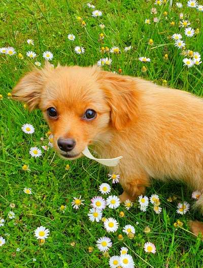 Fotowettbewerb Natur-Beitrag-Bild