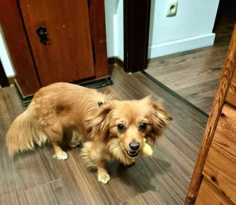 Fotochallenge Nr. 64-Beitrag-Bild