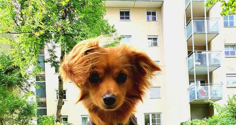 Fotochallange Nr. 57     PORTRÄT.   Beendet!!!!!!!!-Beitrag-Bild