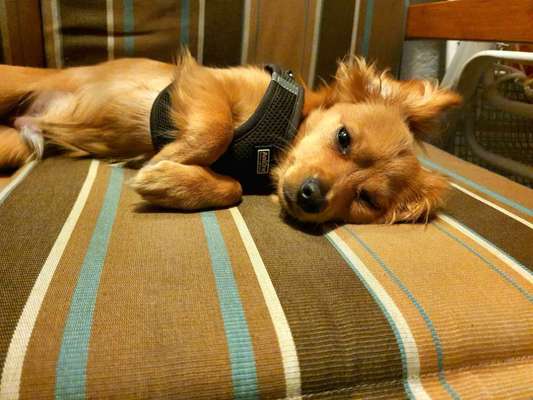 Lieblingsbild-Beitrag-Bild