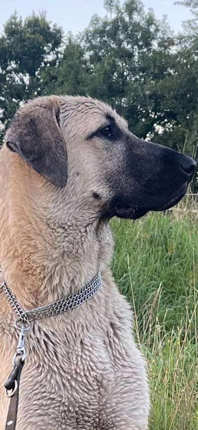 Lieblingsbild-Beitrag-Bild