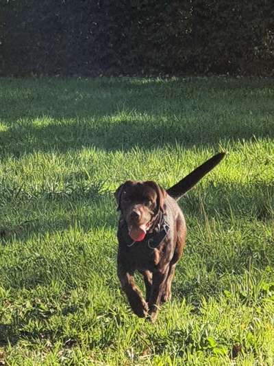 23. Collagen-Challenge: Portraits-Beitrag-Bild