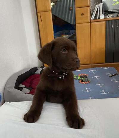 Sie werden so schnell groß!-Beitrag-Bild