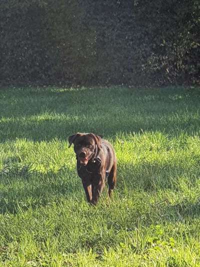 23. Collagen-Challenge: Portraits-Beitrag-Bild