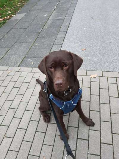 23. Collagen-Challenge: Portraits-Beitrag-Bild