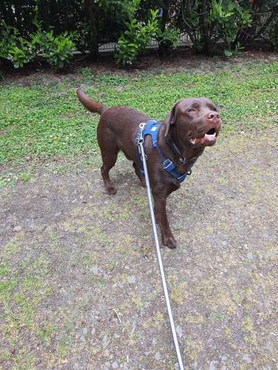 Fotowettbewerb Natur-Beitrag-Bild