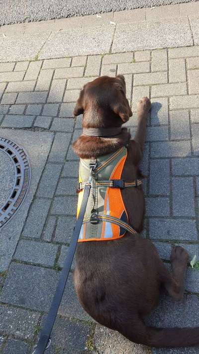 21. Farben / Foto Challenge - Neon / Leuchtfarben-Beitrag-Bild