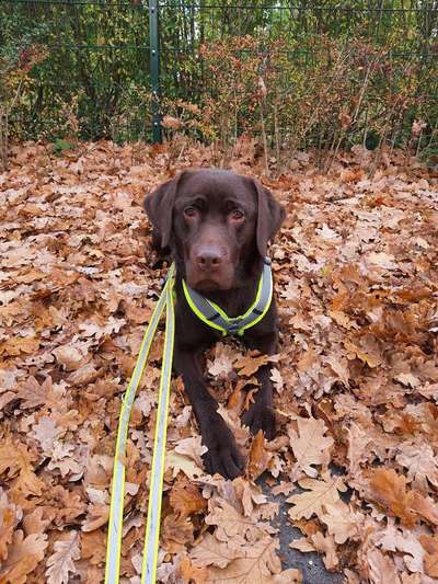 Lieblings Fotos-Beitrag-Bild