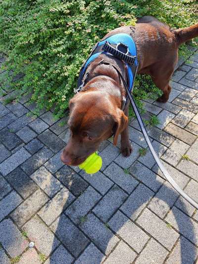 Fotochallenge No.97-Beitrag-Bild