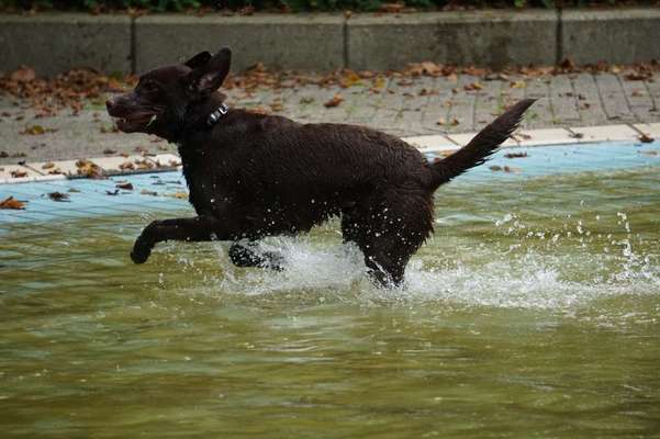 FOTOCHALLANGE NR.71 BADEFREUDE-Beitrag-Bild