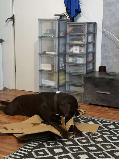 15. Handyfoto Challenge - Indoor Aktivitäten-Beitrag-Bild