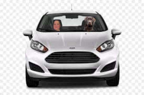 FOTOCHALLENGE 70 - Dein Hund im Auto-Beitrag-Bild