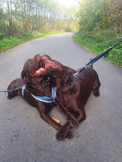 20. Handy -Foto-Callenge-Beitrag-Bild