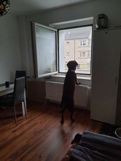 120. Fotochallenge-Beitrag-Bild