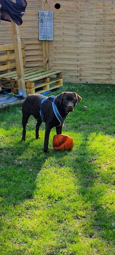 Sie werden so schnell groß!-Beitrag-Bild