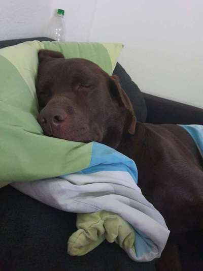 32. Farben Challenge  ** ( BUNTE ) STREIFEN **-Beitrag-Bild