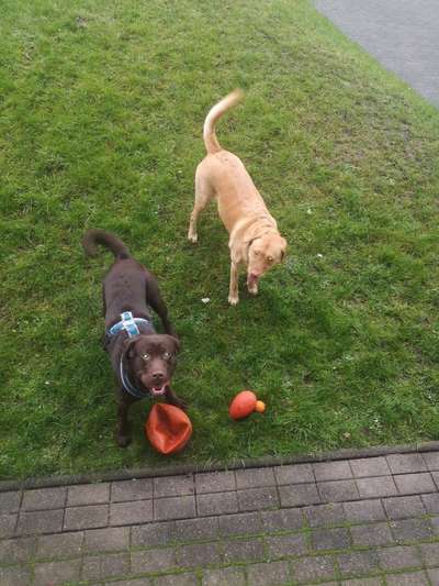 Von oben-Beitrag-Bild