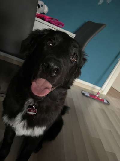 Lieblingsbild-Beitrag-Bild