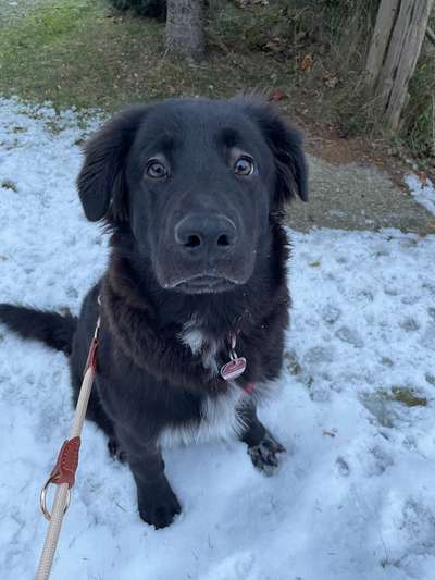 Lieblingsbild-Beitrag-Bild