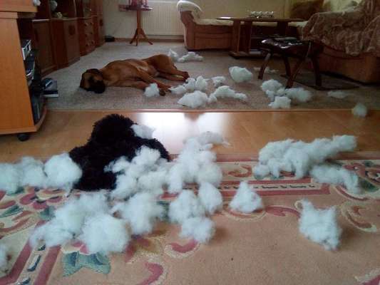 Kissen explodiert-Beitrag-Bild