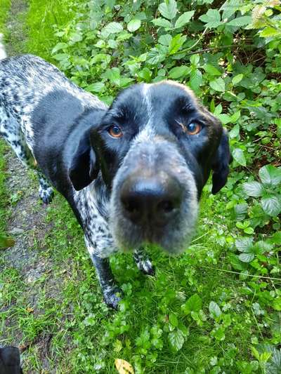 Lieblingsbild :D-Beitrag-Bild