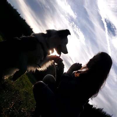 Hundetreffen-Aktiven Spielkameraden gesucht-Profilbild