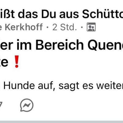 Giftköder-Giftköder-Bild