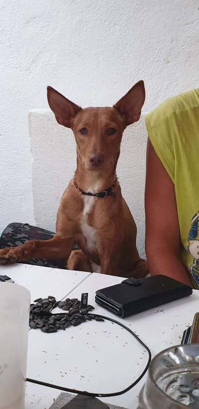 Moviestar-Pics!-Beitrag-Bild