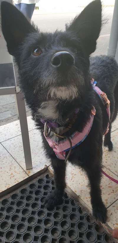 Moviestar-Pics!-Beitrag-Bild