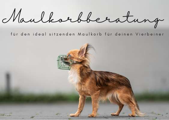 %{de_profession_title}-Maulkorbberatung vor Ort-Bild