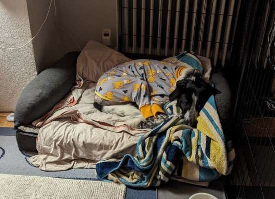 Kastraktion - Statt Trichter, Body oder…?-Beitrag-Bild