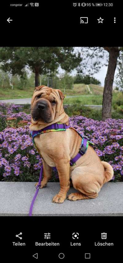 Fotowettbewerb Natur-Beitrag-Bild