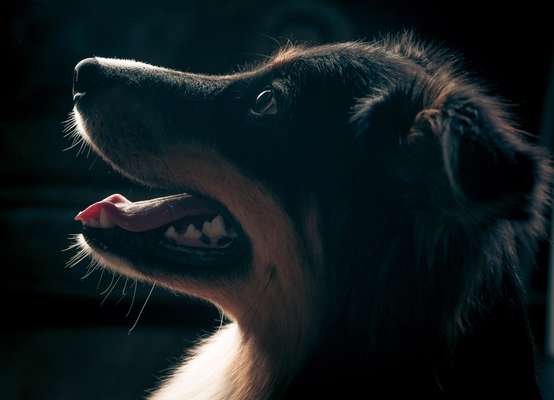 Lieblingsbild-Beitrag-Bild